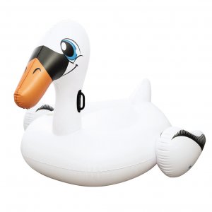 41109 ΦΟΥΣΚΩΤΟΣ ΚΥΚΝΟΣ - Σε 12 Άτοκες Δόσεις