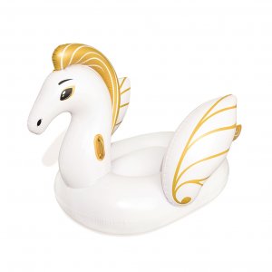 Θαλάσσιος Φουσκωτός Πήγασος 15717 - Σε 12 Άτοκες Δόσεις