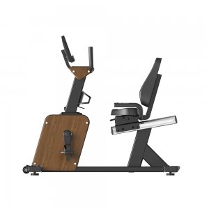 Viking Venus Επαγγελματικό Καθιστό Ποδήλατο EMS (Self Generator) - 106862 - Σε 12 Άτοκες Δόσεις