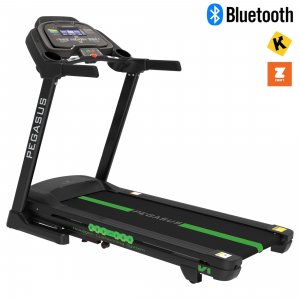 Διάδρομος Γυμναστικής Pegasus® V1 2.5ΗΡ 338351022 - σε 12 άτοκες δόσεις