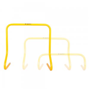 Εμπόδιο Εκπαιδευτικό CF100 (45cm) - INS-9525