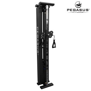 Functional Trainer Τοίχου Pegasus® T-SC01 327201931 - σε 12 άτοκες δόσεις