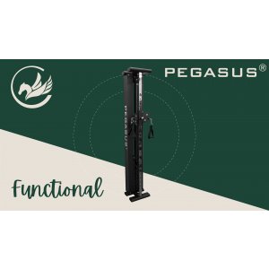 Functional Trainer Τοίχου Pegasus® T-SC01 Λ-5335 - σε 12 άτοκες δόσεις