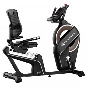 Pegasus® Καθιστό Ποδήλατο B15 341996632 - σε 12 άτοκες δόσεις