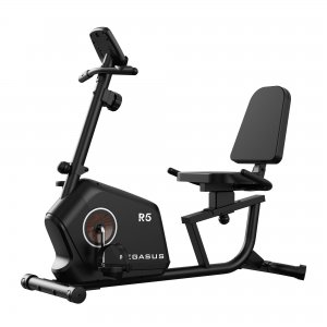 Pegasus® Καθιστό Ποδήλατο R5 341210185 - σε 12 άτοκες δόσεις