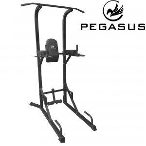 Pegasus® Μονόζυγο-Δίζυγο PG-026A 390180269 - σε 12 άτοκες δόσεις
