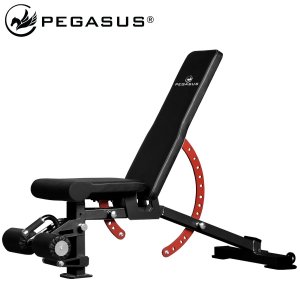 Pegasus® Πάγκος Ρυθμιζόμενος PG-2101 327210101 - σε 12 άτοκες δόσεις