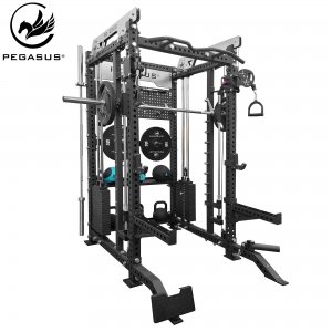 Pegasus® PG-2000 All-In-One Trainer 327200002 - σε 12 άτοκες δόσεις