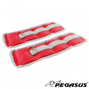 Pegasus® Βάρη Άκρων (1.0kg - Zεύγος) Β-2112-10 - σε 12 άτοκες δόσεις