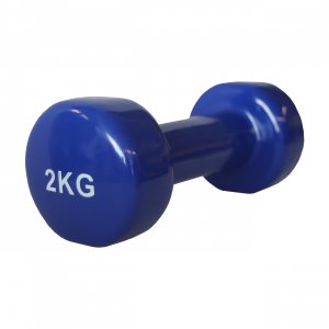 Pegasus® Βάρη Βινυλίου - 2 kg (τεμάχιο) B-7900-20 - σε 12 άτοκες δόσεις
