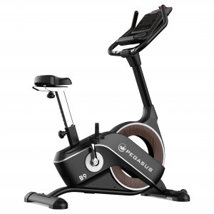 Ποδήλατο Γυμναστικής Pegasus® B9 341996602 - σε 12 άτοκες δόσεις
