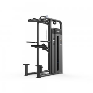 Viking Selectorized 2009 Dip / Chin Assist, Υποβοηθούμενο Μονόζυγο και Δίζυγο - 106660 - Σε 12 Άτοκες Δόσεις