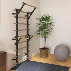 Wall Bars inSPORTline Wootamax 220 x 80 cm w/ Pull-Up Bar & Parallel Bars - σε 12 άτοκες δόσεις