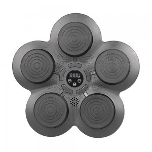 Wall-Mounted Electronic Punching Target inSPORTline Smartpunch-INS-26787 - σε 12 άτοκες δόσεις